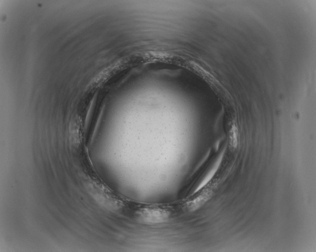 X0000083560464200702231608