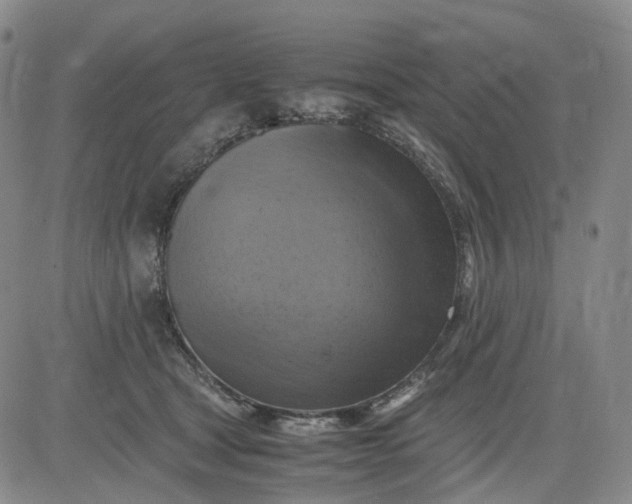 X0000083560465200702231608