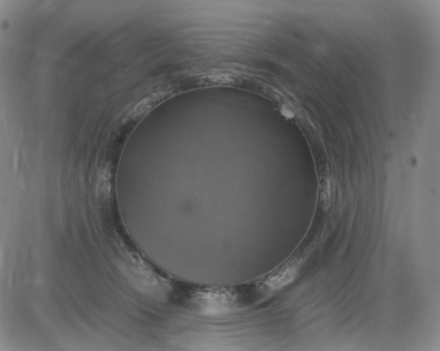 X0000083560466200702231608