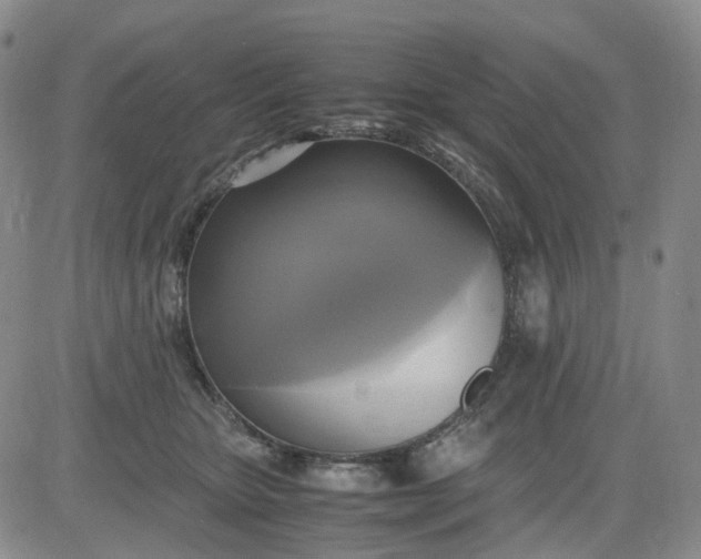 X0000083560467200702231608