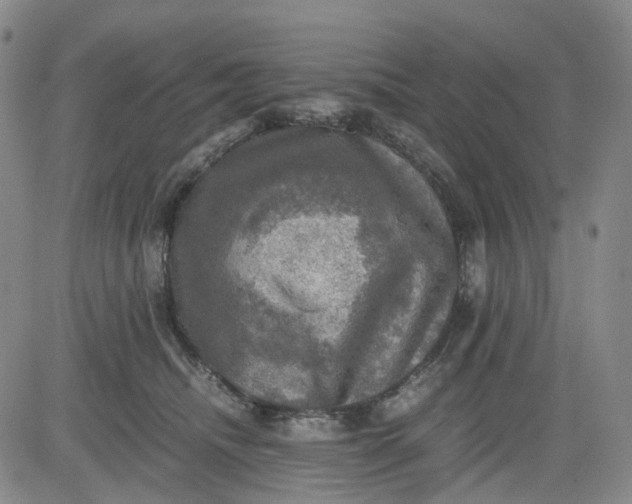 X0000083560468200702231608