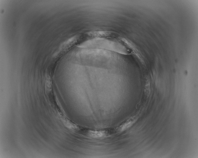 X0000083560469200702231608