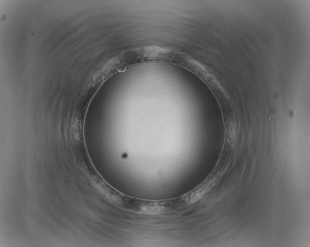 X0000083560470200702231608