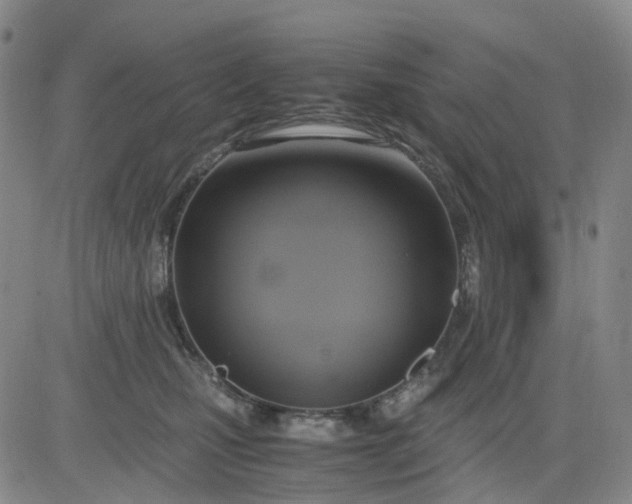 X0000083560471200702231608