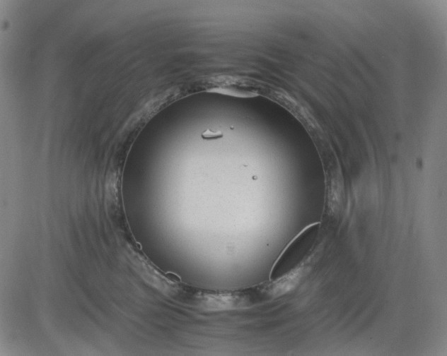 X0000083560473200702231608