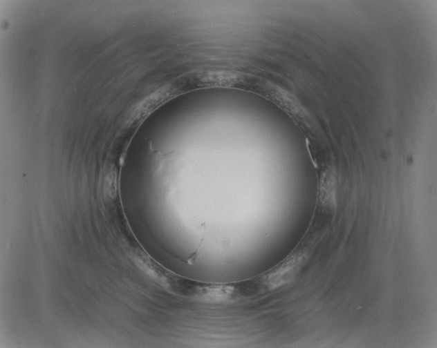 X0000083560474200702231608