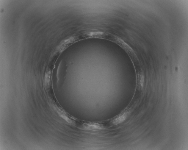 X0000083560475200702231608