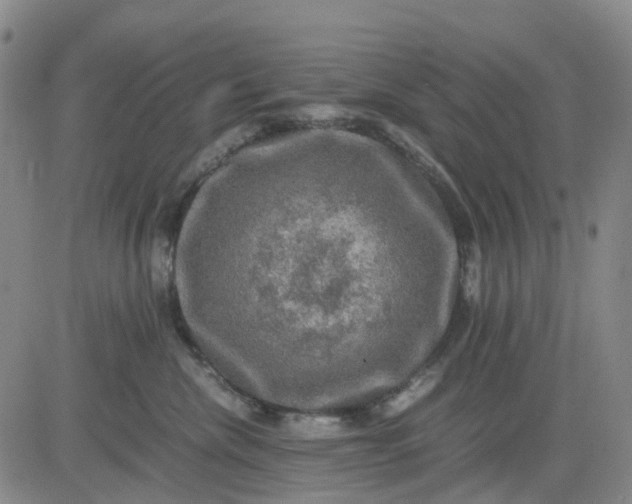 X0000083560476200702231608