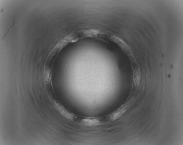 X0000083560477200702231608