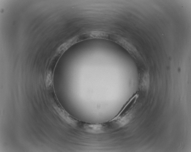 X0000083560478200702231608