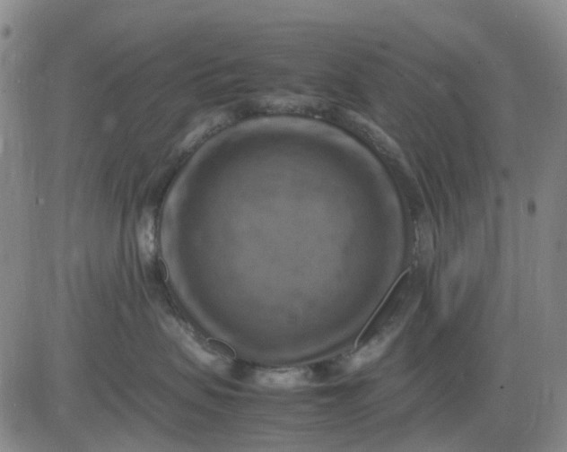 X0000083560479200702231608