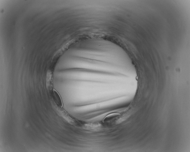 X0000083560480200702231608