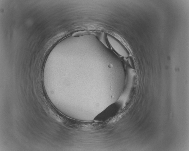 X0000083560481200702231608