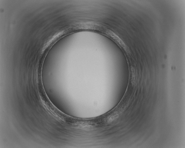 X0000083560482200702231608