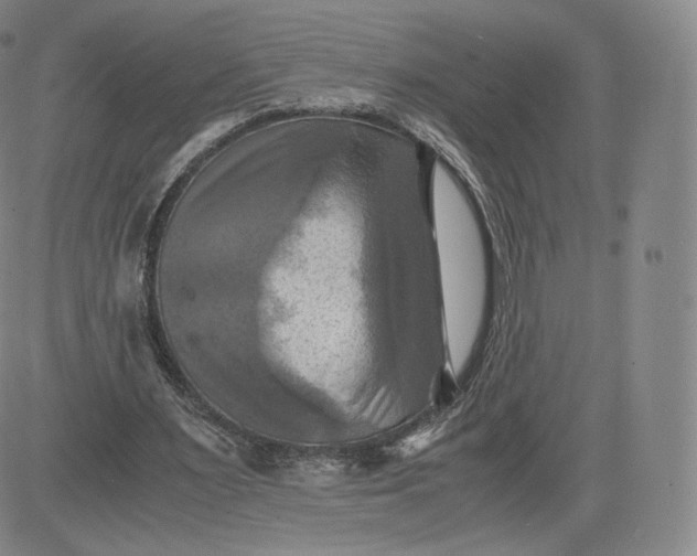 X0000083560483200702231608