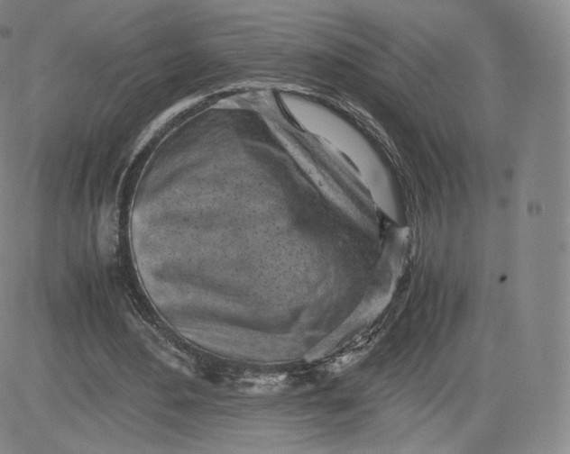 X0000083560484200702231608