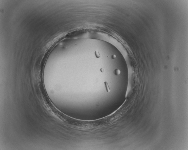 X0000083560485200702231608