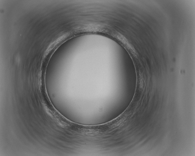 X0000083560486200702231608