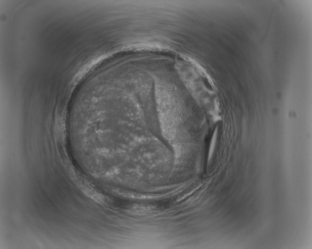 X0000083560487200702231607