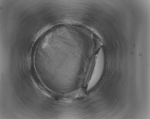 X0000083560488200702231607