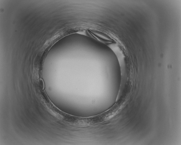 X0000083560489200702231607