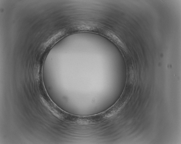 X0000083560490200702231607