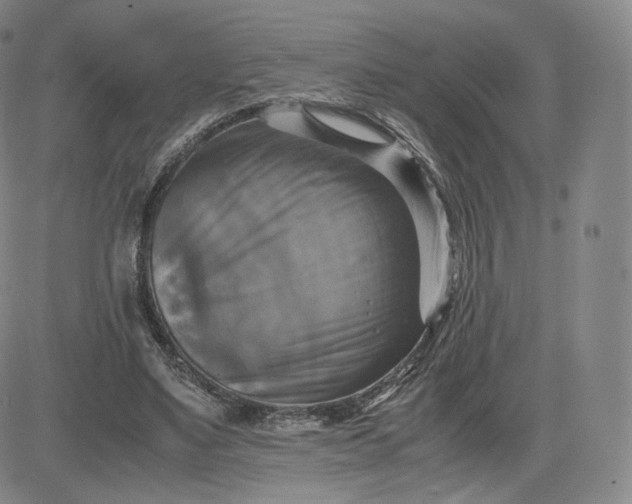 X0000083560491200702231607