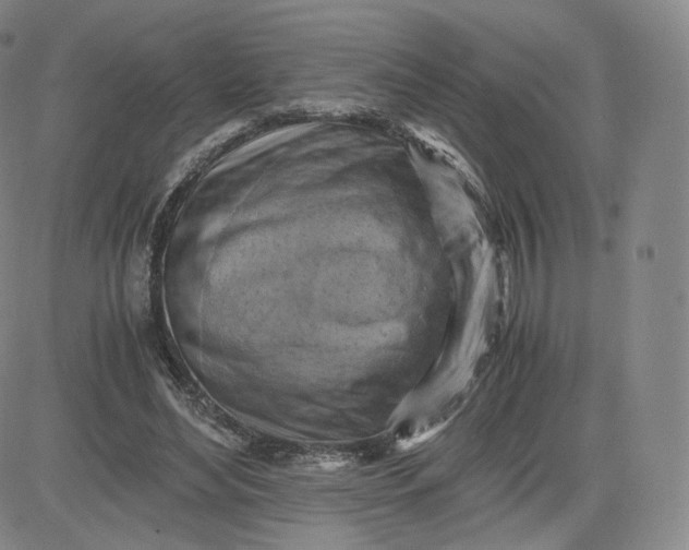 X0000083560492200702231607