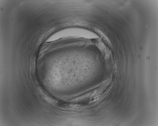 X0000083560493200702231607