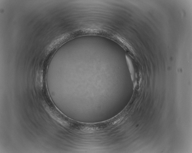 X0000083560494200702231607