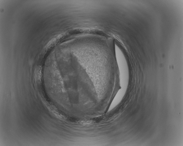 X0000083560495200702231607