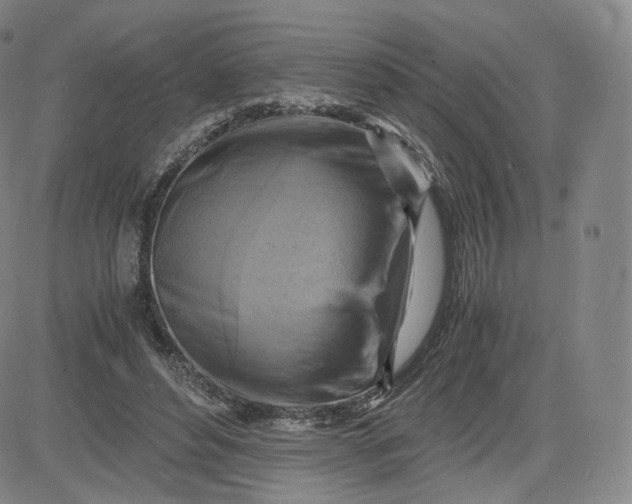 X0000083560496200702231607