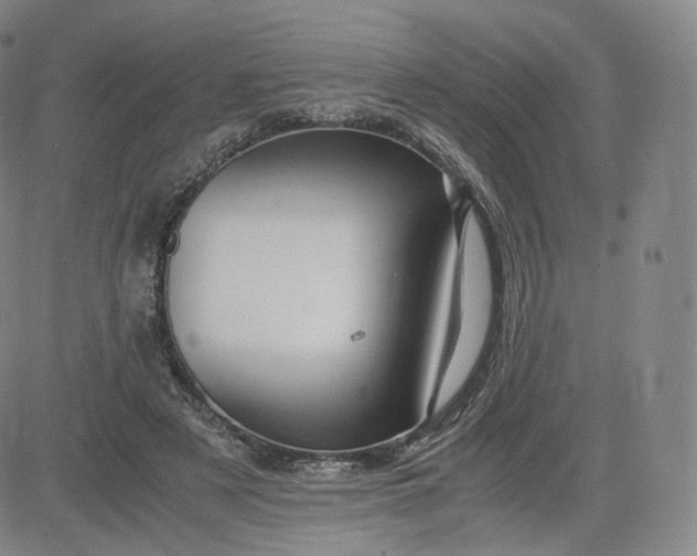 X0000083560497200702231607