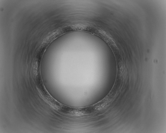 X0000083560498200702231607