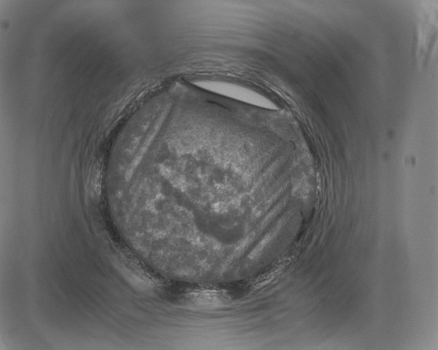 X0000083560499200702231607