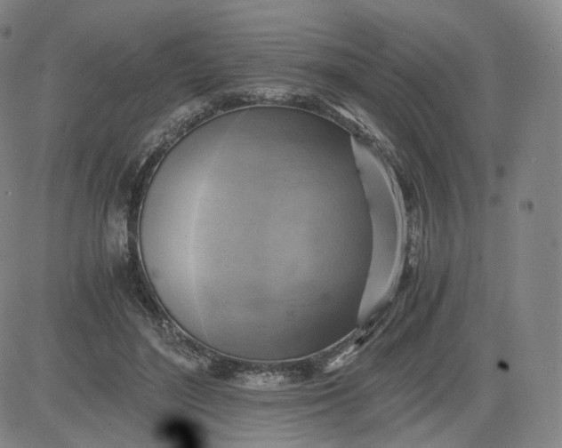 X0000083560500200702231607