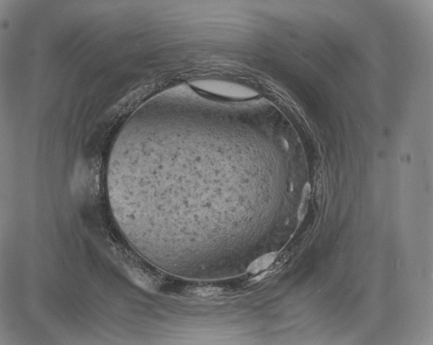 X0000083560501200702231607