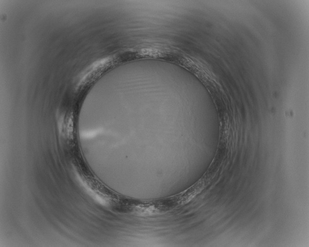 X0000083560502200702231607