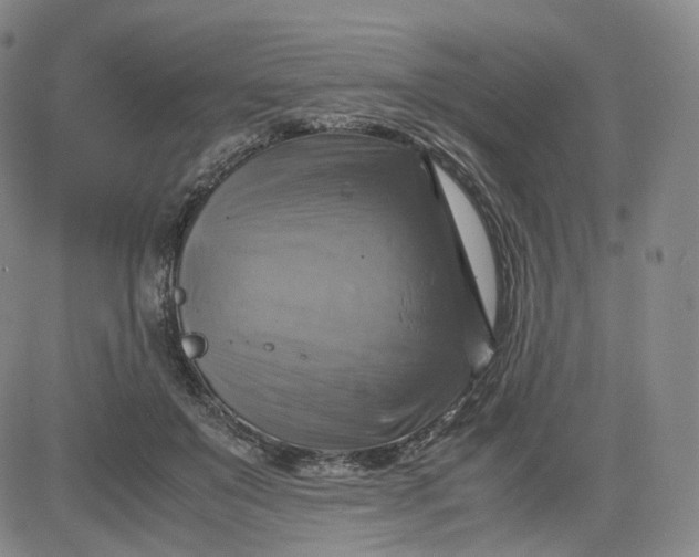 X0000083560503200702231607