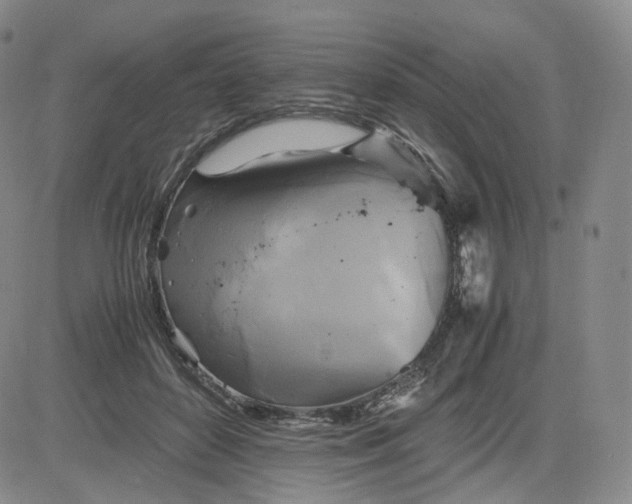 X0000083560504200702231607