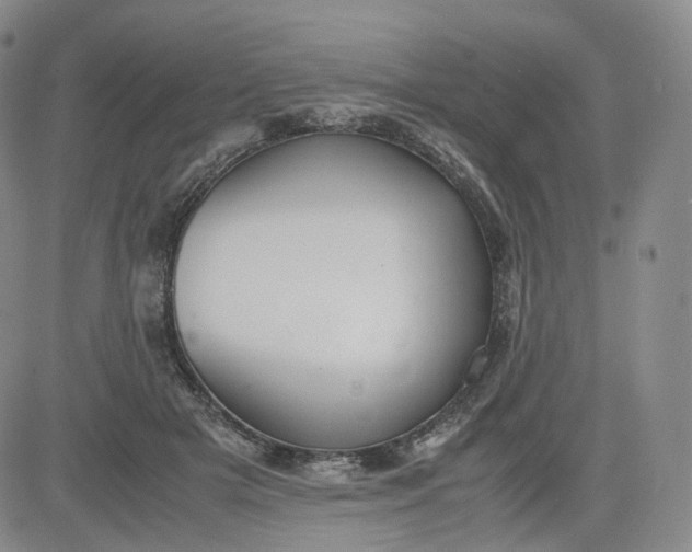 X0000083560505200702231607