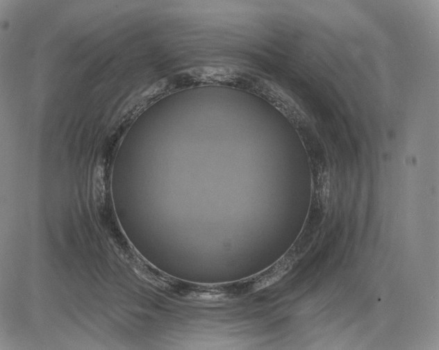 X0000083560506200702231607