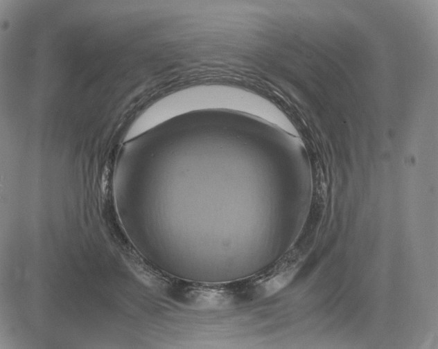 X0000083560507200702231607