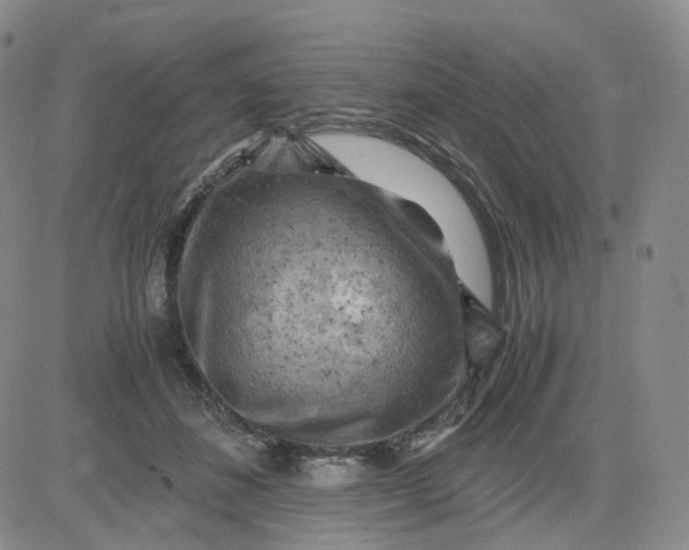 X0000083560508200702231607