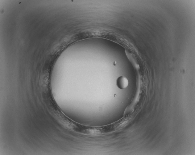 X0000083560509200702231607