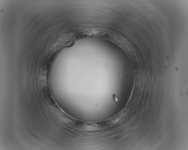 X0000083560510200702231607