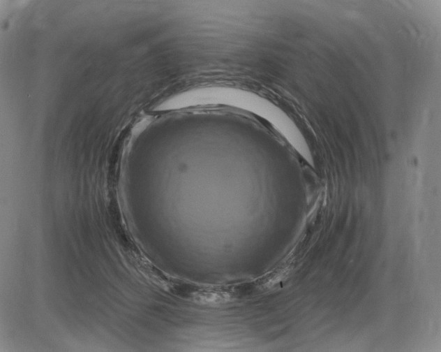 X0000083560512200702231607