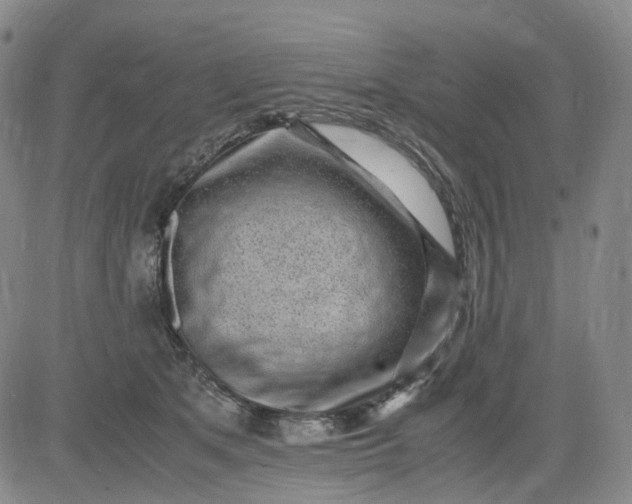 X0000083560513200702231607