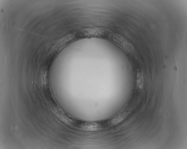 X0000083560514200702231607