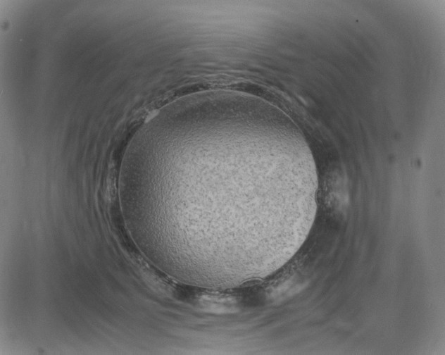 X0000083560515200702231607